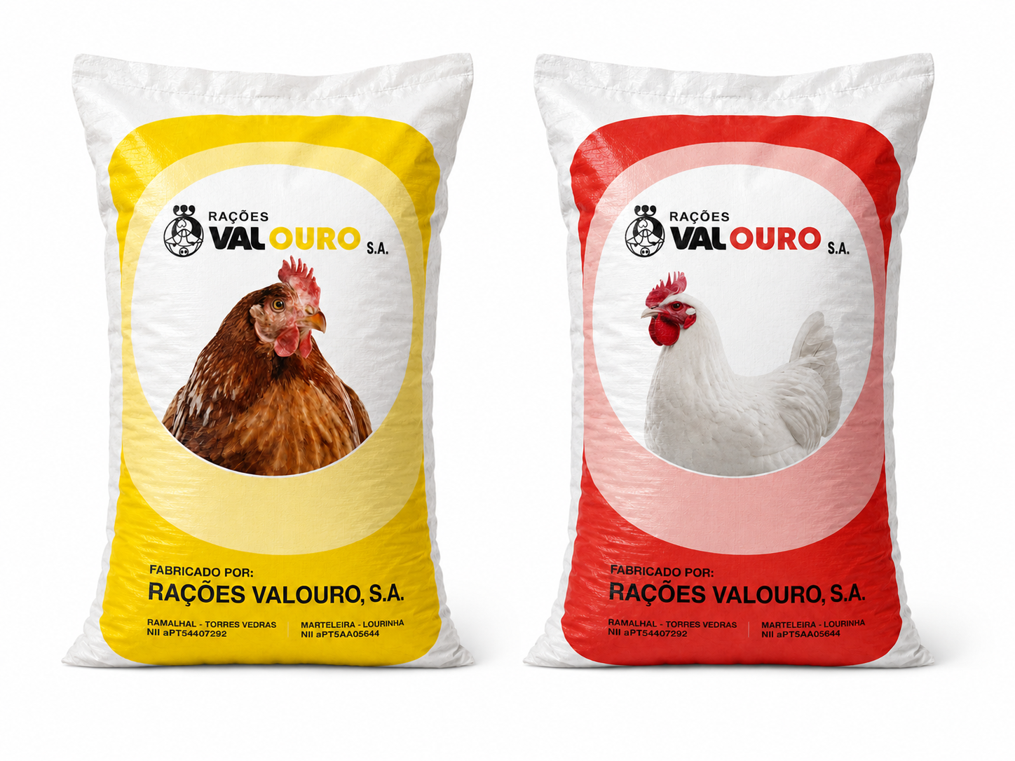 galinha4